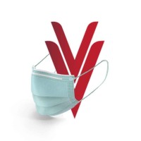 VEVE Jazykova agentura Logo