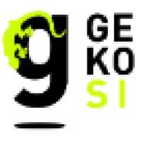 Geko Sistemi Informativi s.r.l. Logo