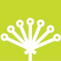Studio AMMI Logo