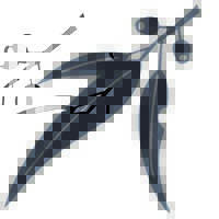 National Trust of Australia (Queensland) Logo