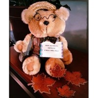 Central Minnesota Libraries Echange Logo