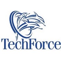 TechForce LLC Logo