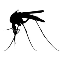 Buzz Company Logo