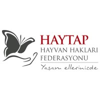 Haytap Logo