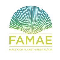 FAMAE Challenge Logo