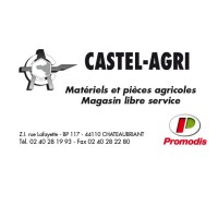 CASTEL AGRI Logo