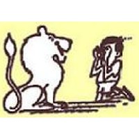 Best Camping Tours and Safaris Limited Logo