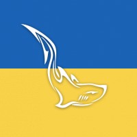 CodeTiburon Logo