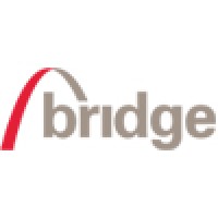Bridge South Africa Logo
