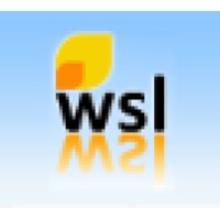 Welding Services Limited Logo