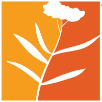 Pizzo Native Plant Nursery, LLC Logo