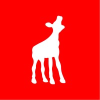 Nederlands Film Festival (NFF) Logo