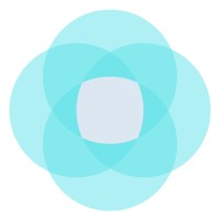 Virtual Accounting Firm Logo