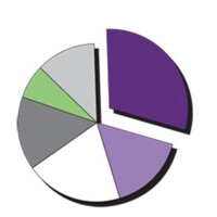Applied Performance Analytics Corp. Logo