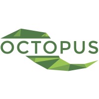 Octopus Lab Logo