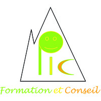 PIC FORMATION Logo