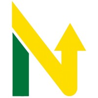 Natural Power and Energy Logo