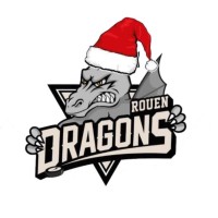 ROUEN HOCKEY ELITE 76 Logo