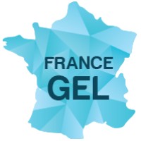 FRANCE GEL Logo