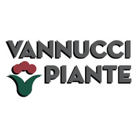 Vannucci Piante Logo
