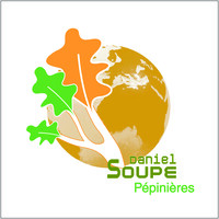 PEPINIERES DANIEL SOUPE Logo