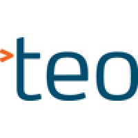 TEO International Logo