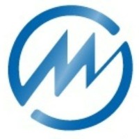 MEGA SECURITE Logo