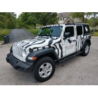 Safari Insurance Logo