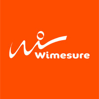 Wimesure Logo