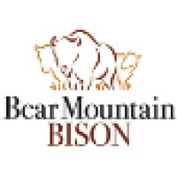 Bear Mountain Bison Logo