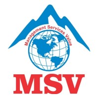 MSV International, Inc. Logo