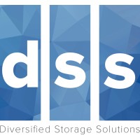 Diversified Storage Solutions, Inc. (DSS) Logo