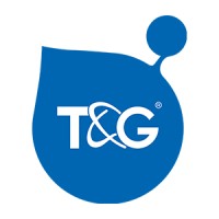 T&G Logo