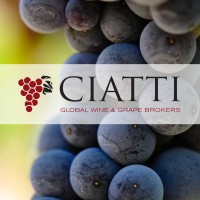 CIATTI Company Logo