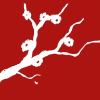 T EDITION Logo