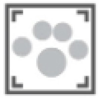 Loyalty Pet Care Services Logo