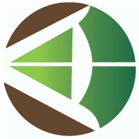 King LASIK Logo