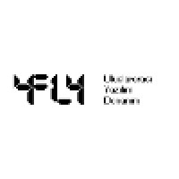 4FLYY International Software & Hardware Logo
