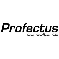 Profectus Consultants Logo