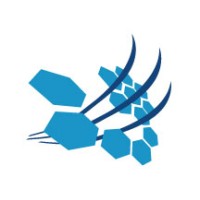 Forum per la Finanza Sostenibile (ItaSIF) Logo