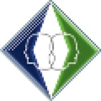 Gemenii Network (Phoenix Telecom) Logo