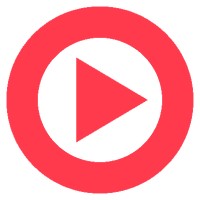 Next Business Information Logo