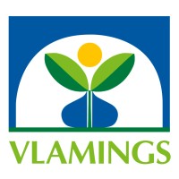 Vlamings BV Logo