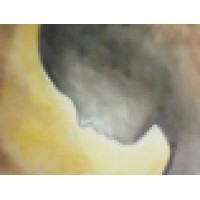 Human Rights Society Logo