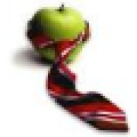 The Healthy CEO Logo