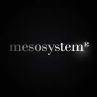 Mesosystem, S. A. Logo