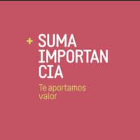 Suma Importancia Logo