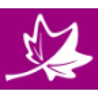 White Maple Consulting Ltd Logo