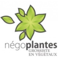NEGOPLANTES Logo
