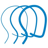 Brain Injury Association of America Logo